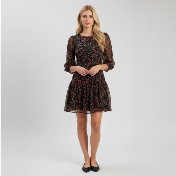 Calvin Klein Women’s Black Red Floral Dress Size 4 • Sheer Sleeves • Ruffle Hem - Picture 1 of 10